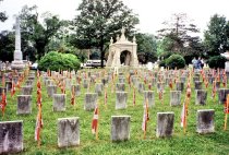 Confederate Memorial Day - monuments & flags